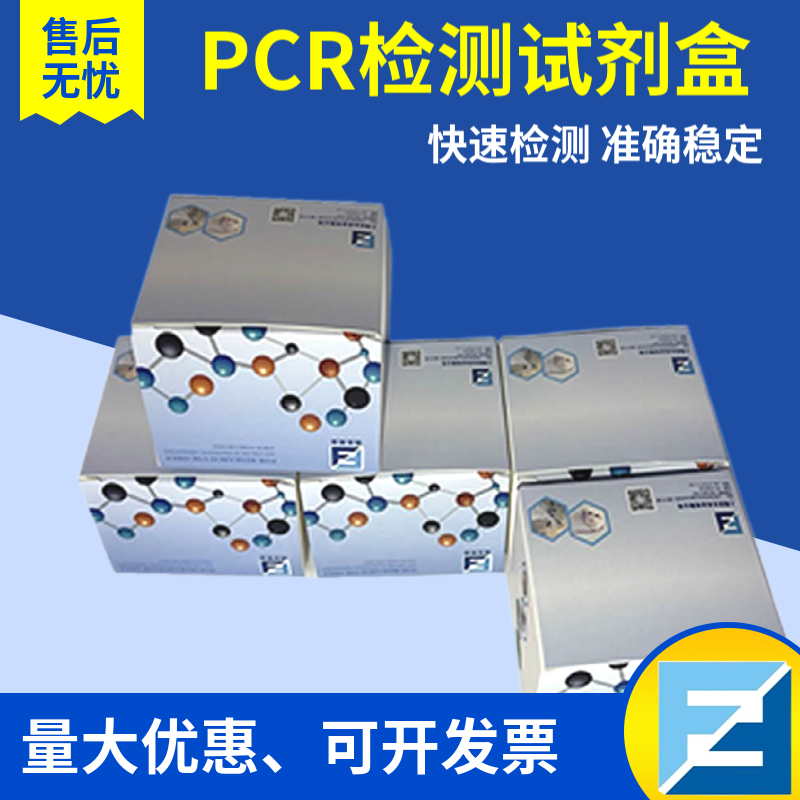 荧光定量PCR试剂盒现货 荧光定量PCR试剂盒