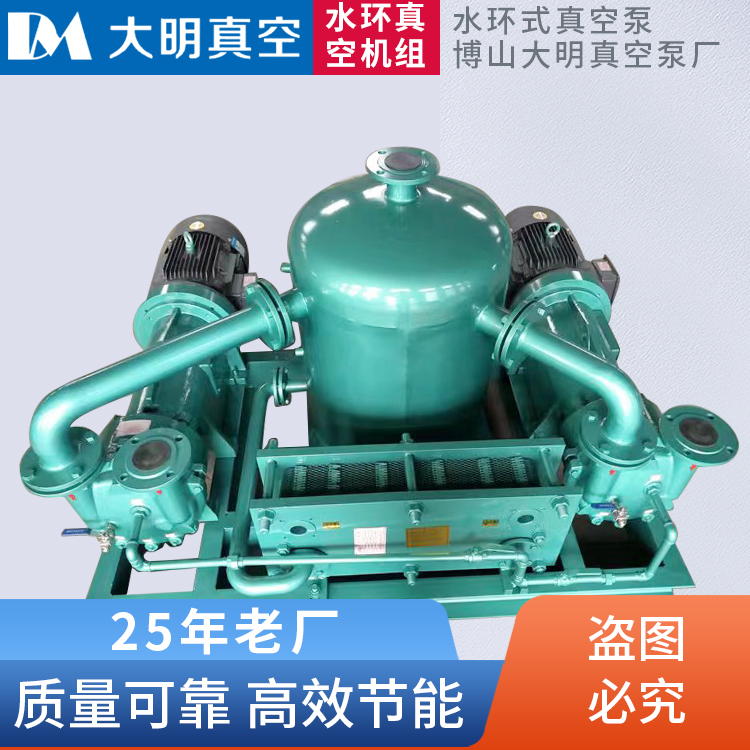 MVR专用水环真空机组 蒸发提取真空泵机组