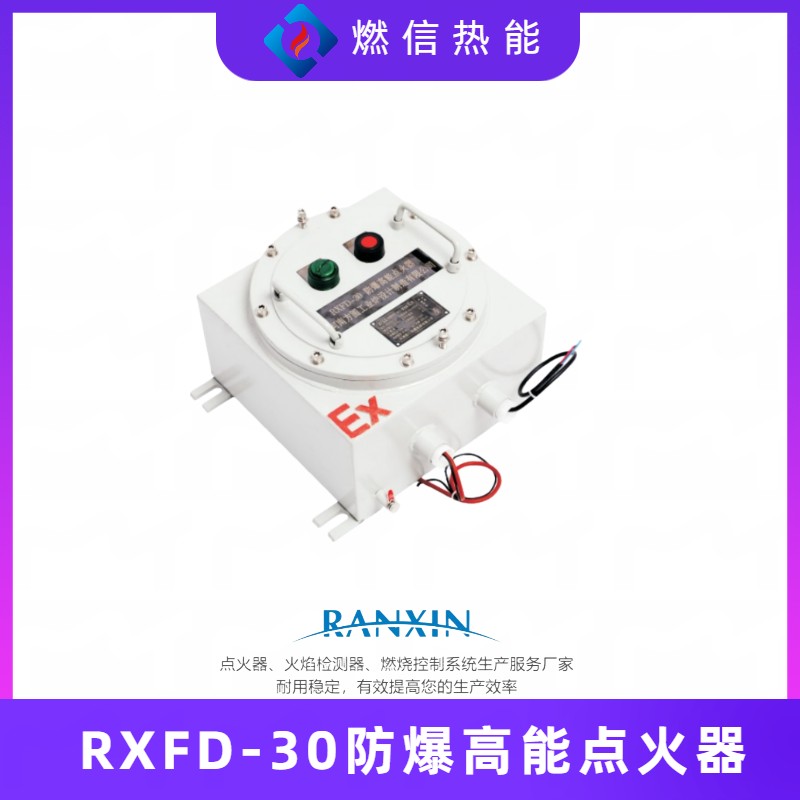 锅炉自动点火装置RXFD-12防爆高能点火器 燃信支持定制性能稳定