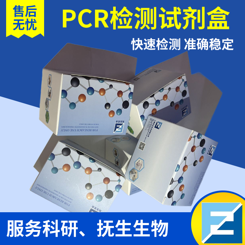 荧光探针PCR试剂盒厂家 荧光探针PCR试剂盒