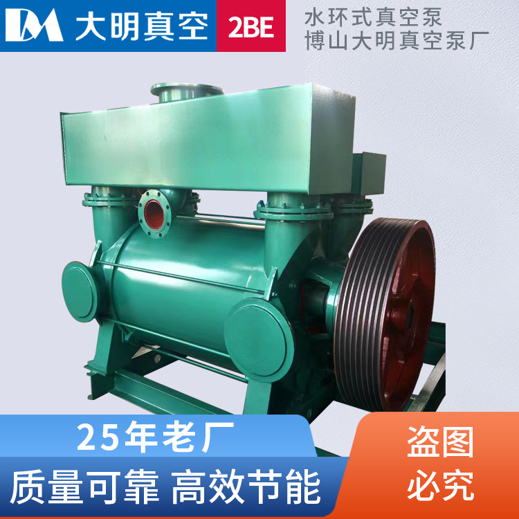 厂家直供2BEC42水环式真空泵 110kw铸造用真空泵 支持定制
