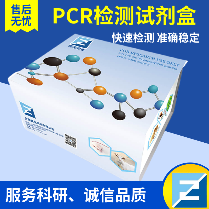 PCR扩增试剂盒厂家 PCR扩增试剂盒