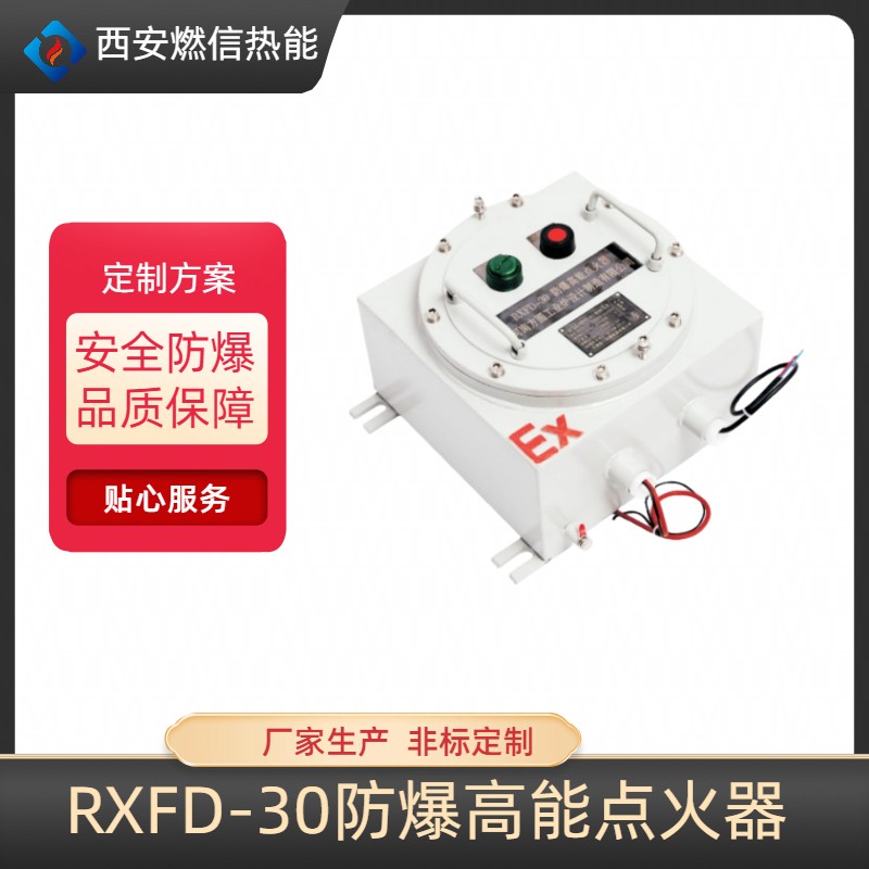 燃信热能防爆高能点火器点火量大 火焰检测器