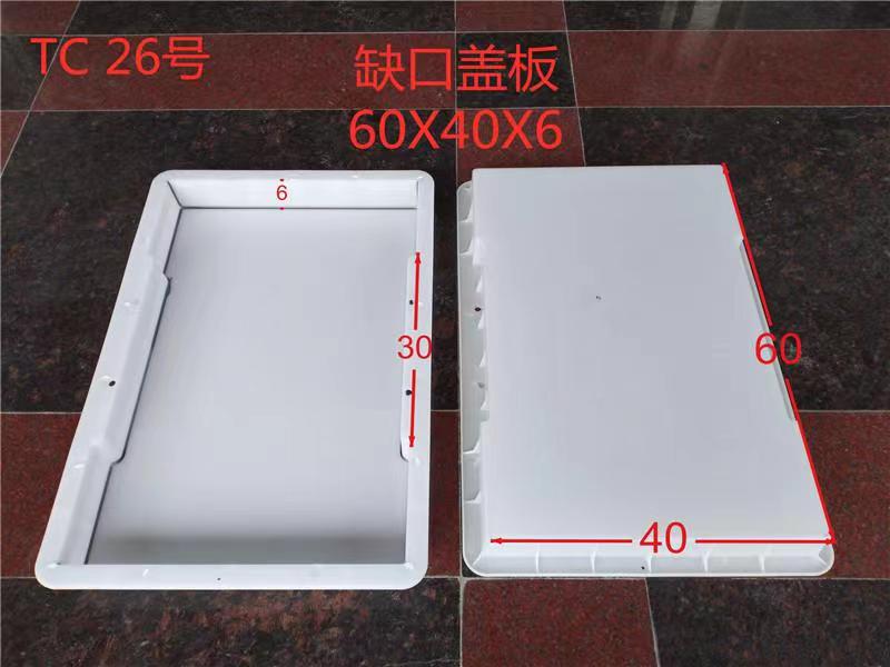 嘉兴盖板模具源头厂家  定制销售  通程塑业