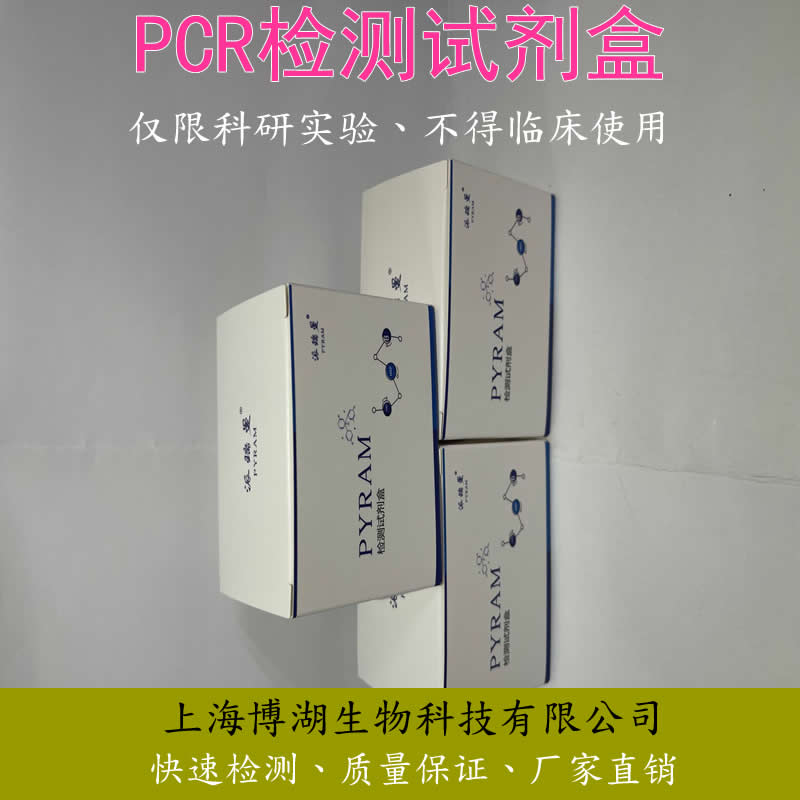 犬瘟热病毒RT-PCR检测试剂盒