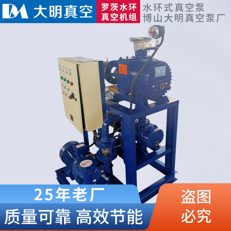 JZJS化工等工业用高真空度罗茨-水环真空机组