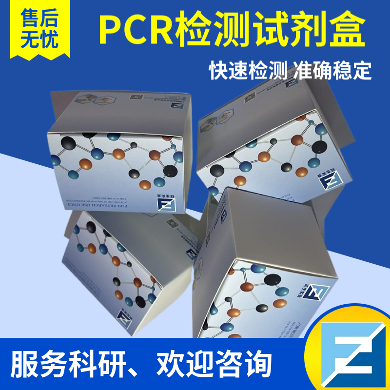 PCR扩增试剂盒现货 PCR扩增试剂盒