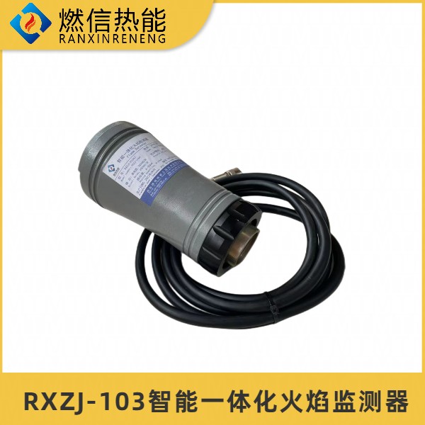 锅炉厂点火装置加热炉点火器，RXZJ-103AT智能一体化火焰监测器