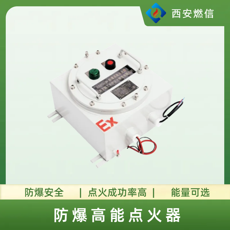 高危工况专业RXFD-20 型防爆高能点火器瞬时耐温 1300℃