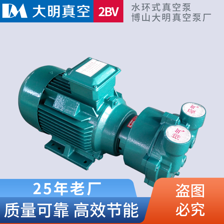 2BV水环真空泵  2BV5111水环式真空泵 5.5KW