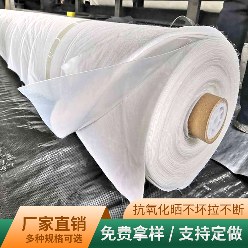 两布一膜复合膜 鱼池防渗复合土工膜 天仁按需定制