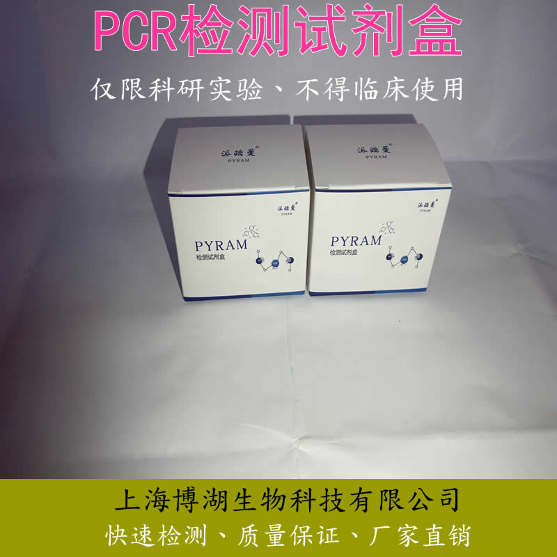 牛病毒性腹泻病毒（BVDV）核酸检测试剂盒（RT-PCR）PCR扩增试剂盒