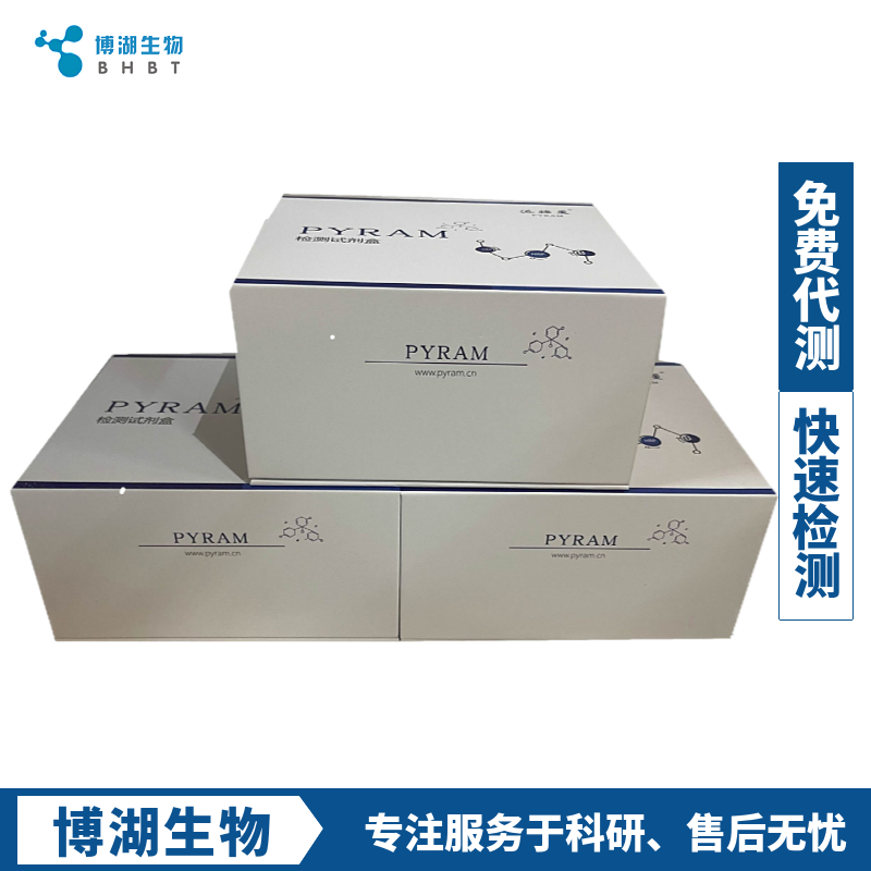 人脂肪酶H(LIPH)ELISA试剂盒