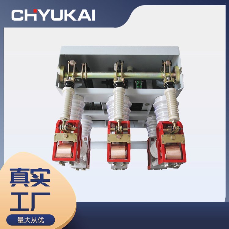 专业生产连体式一体式高压开关户内真空断路器ZN28-12