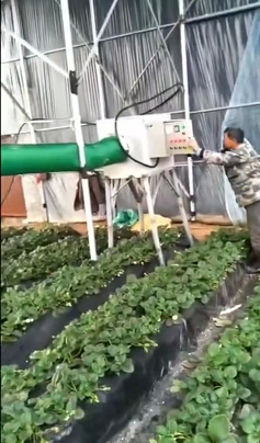 小型工业大棚电暖风机 自动控温热风机