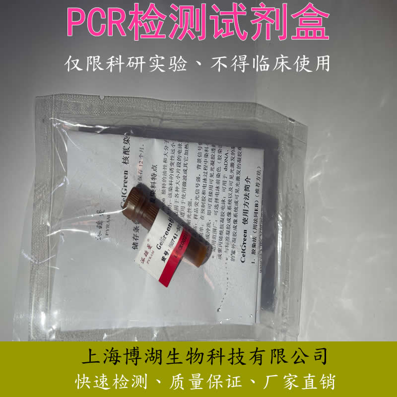 猪高致病性蓝耳病毒RT-PCR扩增试剂盒